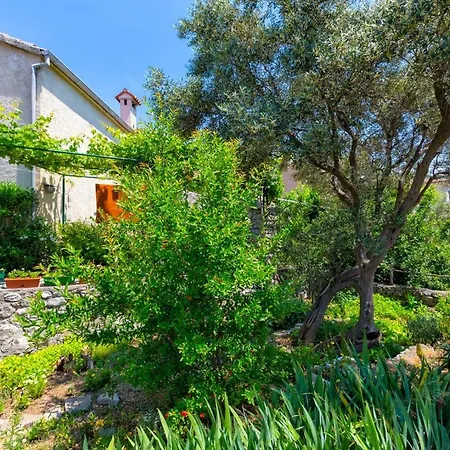 Guest house Nona, Miholascica